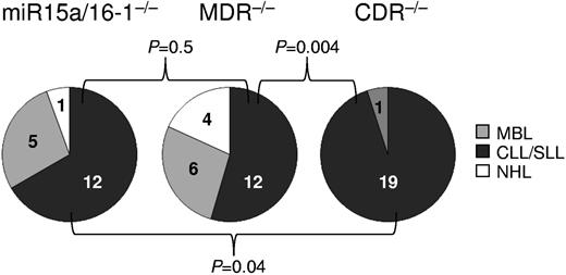 Figure 6. Spectrum of lymphoproliferations in mice with homozygous deletion of the CDR, MDR, and miR-15a/16-1. The fraction of CLL among the various types of B-lymphoproliferations in mice with homozygous deletion of the CDR, MDR, and miR-15a/16-1 was statistically evaluated among the respective cohorts. CDR−/− group: CDRfl/−CD19-Cre and CDRfl/flCD19-Cre mice; MDR−/− group: MDR−/− and MDRfl/−CD19-Cre mice22; miR-15a/16-1−/− group: miR-15a/16-1−/− and miR-15a/16-1fl/−CD19- Cre mice.22