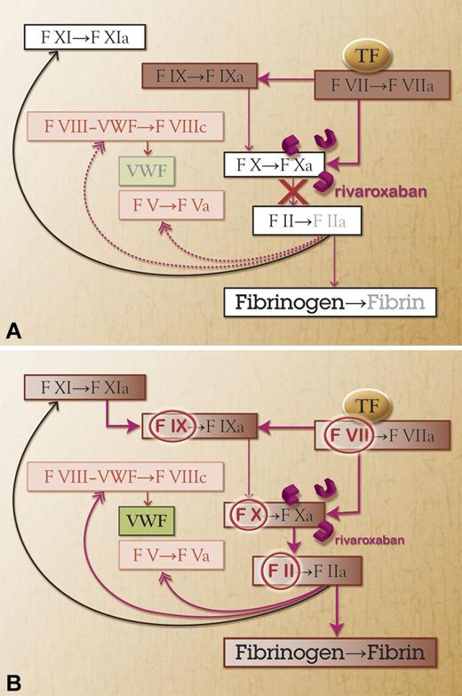 Figure 2. Possible reversal of factor Xa inhibitors. (A) Treatment with a direct factor Xa inhibitor (rivaroxaban) blocks factor Xa and thereby the next step in the fibrin formation. (B) Prothrombin complex concentrate provides additional factor II, VII, IX, and X (circled red) and the Xa inhibitor is overcome.
