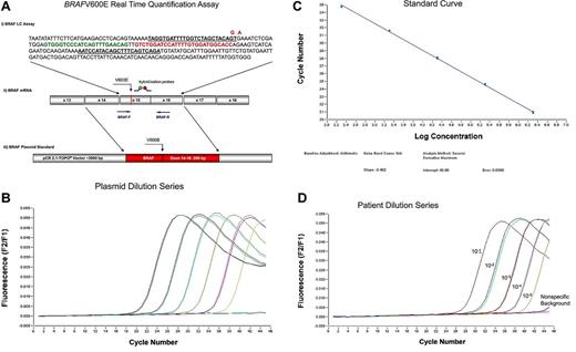Figure 1. RT-PCR assay for the detection of BRAFV600E. (A) BRAFV600E real-time quantification assay. (i) Assays for BRAFwt and BRAFmut were almost identical, with the exception of the BRAFV600E mutation-specific primer, which includes the nucleotide substitution of the T > A at the 3′end and an additional mismatch nucleotide (A > G at the third position from the 3′end) that further enhances the specific detection of mutated transcripts. Forward and reverse primer are underlined. Mutated nucleotide and mismatch nucleotide in the forward primer are given in red. Green represents fluorescein-labeled detection probe; and red, LC640-labeled probe. In detail, the reaction was performed in a final volume of 20 μL by use of 2 μL mastermix (LightCycler Fast Start DNA Master Hybridization Probes; Roche Diagnostics), 4mM MgCl2, 0.5μM of each forward (BRAFwt-F: TAGGTGATTTTGGTCTAGCTACAGT or BRAFmut-F: TAGGTGATTTTGGTCTAGCTACGGA) and reverse primer (BRAF-R: TCTGACTGAAAGCTGTATGGATT; Metabion), 0.25μM of each of the 2 fluorescent hybridization probes (BRAF-Fl: GTGGGTCCCATCAGTTTGAACAG-fluorescein and BRAF-LCred640: LC640-GTCTGGATCCATTTTGTGGATGGCACC-phosphate), and 2 μL cDNA (accounting for an equivalent of mRNA of 200 000 cells). Amplification was performed after initial incubation at 95°C for 10 minutes in a 3-step cycle procedure (denaturation 95°C, 1 second, ramp rate 20°C/s, annealing temperature 64°C, 10 seconds, ramp rate 20°C/s, and extension 72°C, 26 seconds, ramp rate 2°C/s) for 45 cycles. (ii) Position of primers (BRAF-F and BRAF-R), V600E mutation, and hybridization probes at the mRNA are indicated. (iii) For plasmid standards, exons 14 to 16 of BRAFwt and BRAFmut each were cloned into a pCR2.1TOPO vector. (B) Ten-fold dilution series of the plasmid carrying the BRAFV600E: 200 000, 2 plasmid copies. (C) Standard curve showing efficiency of the BRAFV600E specific PCR of 1.93. (D) Ten-fold dilution of a diagnostic BRAFV600E mutated patient sample in cDNA of an unmutated patient showing a sensitivity of 1 of 100 000. BRAFwt signal is indicated as “nonspecific background.”