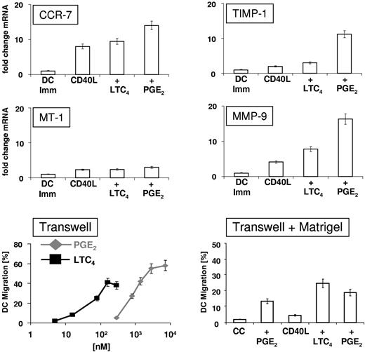 Figure 7. Expression of molecules involved in DC migration. (Top panel) DCs were matured for 2 hours as indicated and the expression levels of mRNA encoding CCR-7, MMP)-9, MT-1 MMP, and TIMP-1 were determined by SYBR green-based quantitative RT PCR. The data shown are the mean ± SEM of triplicates and represent 1 of 2 experiments that yielded similar results. (Bottom panel, left) Transwell migration assays. DCs were matured for 48 hours with CD40L and increasing amounts of LTC4 or PGE2. Migration was assessed in transwell plates with polycarbonate inserts (8 μm pore size) for 2 hours at 37°C. CCL-19 (100 ng/mL) was added to the lower chambers of transwell plates. The data shown represent the mean ± SEM of duplicate cultures and represent 1 of 2 experiments that yielded similar results. (Bottom panel, right) Membranes of transwell inserts were coated with Matrigel (laminin, collagen, proteoglycans, entactin, nidogen) and migration assays were performed using DCs that had been matured as indicated. CCL-19 (100 ng/mL) was added to the lower chambers and migration of DCs was assessed after 6 hours at 37°C/5% CO2. DC migration in the absence of chemokine was subtracted as background. The data are shown as the mean of duplicate cultures ± SEM and represent 1 of 2 experiments that yielded similar results.