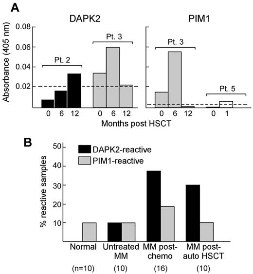 Figure 4. MM treatment is associated with the development of Ab responses against DAPK2 and PIM1. (A) Plasma samples from 5 MM patients who demonstrated GVM responses (defined as clinical remission > 2 years) without GVHD were tested by ELISA. Three patients (Pt. 2, black bars; Pt. 3, gray bars; and Pt. 5, white bars) had new or markedly increased Ab reactivity to DAPK2 and/or PIM1 after HSCT. The dashed line indicates a cutoff based on 2 SD above the mean of Ab reactivity of 10 normal donors for each Ag. (B) Ab responses against DAPK2 (black bars) and PIM1 (gray bars) are also seen by ELISA in MM patients treated with standard chemotherapy or autologous HSCT, but are minimal in patients with untreated MM or healthy donors.