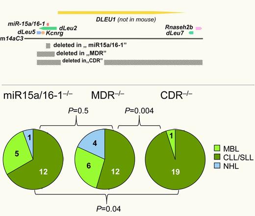 The tumor suppressor mechanism in 13q14.3 is multigenic. Three different regions of 13q14.3 were deleted in B cells of mice (top; gray bars, deleted areas; arrows, genes) and led to the development of different proportions of hematopoietic malignancies, with larger deletions resulting in higher disease penetrance (bottom) and more aggressive disease.1,2