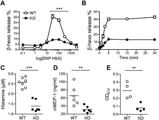 Figure 2. Requirement of TSC1 IgE-induced mast cell degranulation. (A) Degranulation assessed by measuring release of β-hexosaminidase (β-hexo) from anti-DNP IgE-sensitized cells after stimulation with DNP-HSA at the indicated concentrations for 45 minutes. Data shown are mean ± SEM of triplicates and representative of 6 experiments. (B) Time course of mast cell degranulation using optimal Ag concentration (30 ng/mL). Data are representative of eleven experiments. (C-D) Impaired passive systemic anaphylaxis in TSC1 deficient mice. WT and TSC1KO mice were sensitized with anti-DNP IgE, after 24 hours, challenged with DNP-HSA, and the plasma histamine amounts (C) and mMCP-1 (D) were measured by ELISA (enzyme-linked immunosorbent assay) 90 seconds or 30 minutes after Ag challenge, respectively. (E) Impaired passive cutaneous anaphylaxis in TSC1 deficient mice. WT and TSC1KO mice were injected subcutaneously with IgE in ear, followed by DNP-HSA and Evan blue dye injection 24 hours later. The intensity of extracted dye from the ear collected 30 minutes after Ag challenge was measured by absorption at 610 nm (OD610). Data shown are representative of 3 (C-D) and 2 (E) experiments (**P < .01; ***P < .001).