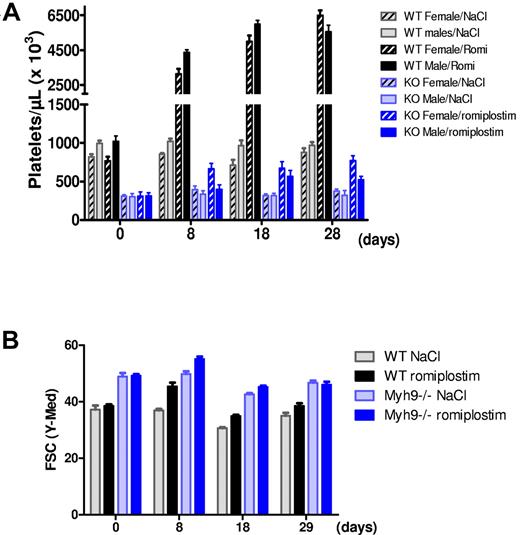 Figure 1. Romiplostim-induced increase in platelet number and size. (A) Platelet counts of WT and Myh9−/− mice before (day 0) and after 8, 18, and 28 days of romiplostim administration. Each bar represents the mean ± SEM of 5 animals. (B) Relative platelet size variation during romiplostim treatment as visualized by flow cytometry (forward scatter parameter) in the GPIbβ-positive population. Mean ± SEM of 10 animals. Of note, the platelet size increase after start of romiplostim was transient in the Myh9−/− mice, indicating that it is not only the effect of TPO receptor stimulation.