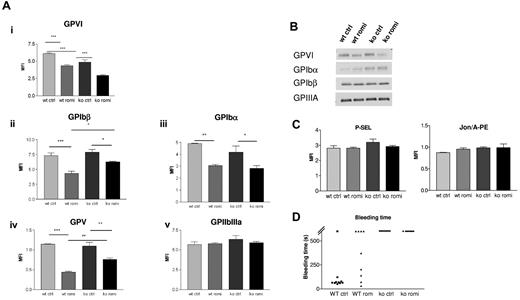 Figure 6. Romiplostim induces a reduction of GPVI and GPIb-IX-V complex expression. (A) Flow cytometric experiment showing in both WT mice and Myh9−/− mice a reduced surface expression of GPVI and GPIb-IX-V complex during romiplostim treatment (i-iv), whereas expression of GPIIbIIIa (v) remained normal. Blood samples were taken after 28 days of romiplostim treatment. Results are expressed as the mean fluorescent intensity ± SEM (n = 8 for GPVI and n = 4 for other proteins). (B) Western blot analysis showing total GPVI, GPIbβ, and GPIIIa expression (lysate from a pool of 8-10 mice, after 1 month of treatment, representative of 2 separate experiments). (C) Flow cytometric experiment showing absence of P-selectin exposure or Jon/A-PE labeling after romiplostim treatment (n = 4-5). (D) Bleeding time, measured by the tail tip sectioning, was not reduced in Myh9−/− mice treated with romiplostim for 1 month, whereas it was increased in treated WT mice.