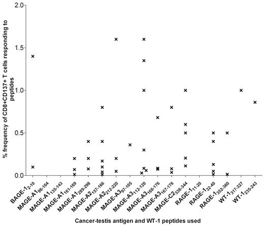 Figure 2. CD8+ T-cell responses were detected in most tumor Ag peptides used in the experimental procedure. The graph shows the maximal T-cell response detected to the different peptides. Values represent the percentage of CD137+CD8+ T cells specific to the different peptides and are calculated by subtracting the percentage of cells detected in the unstimulated population. Details of peptides studied are contained in supplemental Table 2.