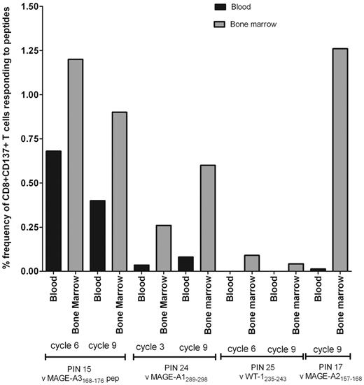 Figure 3. Frequency of tumor-specific CD8+ T cells in paired blood and BM samples from 4 patients during the course of AZA administration. The percentage of frequency of CD8+CD137+ T cells responding to the peptide is shown. Values are calculated by subtracting the percentage detected in the unstimulated from the test.
