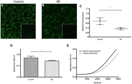 Figure 6. Plasminogen binding to fibrin and plasmin generation is inhibited by Aβ. Fibrin clots were formed with FITC-plasminogen as described in “Plasminogen binding to fibrin,” and 5 μm z-stacks composed of 11 sections were acquired and projected 2-dimensionally for control (A) and Aβ42-containing (B) clots. Images of 15 random sections from 3 separate clots were also acquired and used for quantification (insets show representative single sections). (A) Control clot has formed with FITC-plasminogen shows plasminogen fluorescence in the pattern of the fibrin network. (B) Clot formed with Aβ has less FITC-plasminogen fluorescence. (C) Fluorescence intensity relative to maximum intensity recorded was significantly lower (P = .02) for Aβ-containing clots. (D) Plasminogen binding to fibrin monolayers exposed to 2μM Aβ42 or vehicle was measured by ELISA and normalized to samples not containing plasminogen. Plasminogen binding was decreased in the presence of Aβ (P = .04). (E) Plasmin generation was measured by overlaying tPA, plasminogen, and chromogenic substrate Pefa-5329 on fibrin monolayers exposed to 2μM Aβ42 or vehicle and recording absorbance at 405 nm. Plasmin generation on fibrin monolayers exposed to Aβ was attenuated.