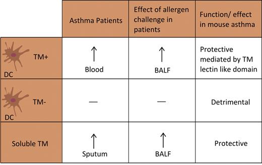 Figure 3. Association between thrombomodulin (TM) expression on dendritic cells (DC) and soluble TM, and human and experimental asthma.