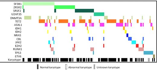Figure 2. Distribution of molecular aberrations in 154 MDS patients with at least 1 identified mutation in the 16 investigated genes.