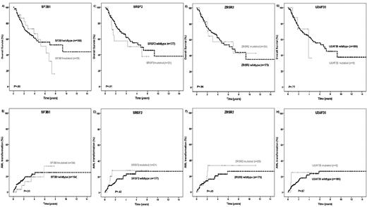 Figure 3. Kaplan-Meier curves for OS and time to AML transformation. (A-B) The SF3B1 mutation status. (C-D) The SRSF2 mutation status. (E-F) The ZRSR2 mutation status. (G-H) The U2AF35 mutation status in 198 MDS patients (log-rank test).
