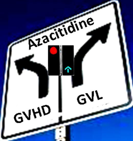 Administration of azacitidine after allogeneic stem cell transplantation raises the possibility of separating GVHD and GVL.