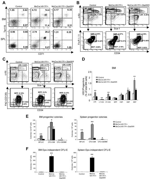 Figure 3. Effects of Stat5-deficiency on hematopoietic stem cells and progenitors expressing Jak2V617F. (A) Flow cytometric analysis revealed a marked reduction in CD71+Ter119+ erythroid precursors in the BM and spleens of induced MxCre;Jak2V617F/+;Stat5fl/fl mice compared with induced MxCre; Jak2V617F/+ mice; the CD71+Ter119+ population in the BM and spleens of MxCre;Jak2V617F/+;Stat5fl/fl mice was comparable with that of control mice. Representative dot plots from 7 independent experiments are shown. (B) Flow cytometric analysis of the LSK compartment (Lin−Sca1+c-kit+) and subsets of myeloid progenitors (MP) including CMP (Lin−Sca1−c-kit+CD34+FcγRII/IIIlo), GMP (Lin−Sca1−c-kit+CD34+FcγRII/IIIhigh), and MEP (Lin−Sca1−c-kit+CD34−FcγRII/III−) in the BM from control (n = 4), MxCre;Jak2V617F/+ mice (n = 4) and MxCre;Jak2V617F/+; Stat5fl/fl (n = 5) mice. (C) HSC-enriched LSK compartments from the BM of control, MxCre;Jak2V617F/+ and MxCre;Jak2V617F/+; Stat5fl/fl mice were further analyzed for LT-HSC (LSKCD34−Flk2−), ST-HSC (LSKCD34+Flk2−), and MPP (LSKCD34+Flk2+). Representative contour plots from 3 independent experiments are shown. (D) Percentages of LSK, LT-HSC. ST-HSC, MPP, CMP, GMP, and MEP are shown in histogram as mean ± SEM Data are presented as percentage of total cells. Asterisks show significant differences by 1-way ANOVA (**P < .005). Note that a significant decrease in LSK, LT-HSC, ST-HSC, and MEP compartments in the BM from MxCre;Jak2V617F/+;Stat5fl/fl mice compared with MxCre;Jak2V617F/+ mice and those populations were comparable with that observed in controls. (E) Analysis of hematopoietic progenitor colonies. BM (2 × 104) and spleen (1 × 105) cells from control (n = 3), MxCre;Jak2V617F/+ mice (n = 5), and MxCre;Jak2V617F/+;Stat5fl/fl mice (n = 5) were seeded in complete methylcellulose medium (Methocult M3434). BFU-E, CFU-GM, and CFU-GEMM colonies were counted on day 7. (F) Epo-independent CFU-E colonies. BM (1 × 105) or spleen (1 × 105) cells were plated in methylcellulose medium without any cytokine (Methocult M3234). CFU-E colonies were counted after 2 days. For BM CFU-E colonies, n = 4 for control and n = 6 for both MxCre;Jak2V617F/+ and MxCre;Jak2V617F/+;Stat5fl/fl mice; for spleen CFU-E colonies, n = 6 for control and n = 8 for both MxCre;Jak2V617F/+ and MxCre;Jak2V617F/+; Stat5fl/fl mice. Data are presented as mean ± SEM. Asterisks show significant differences by 1-way ANOVA (*P < .05; **P < .005).