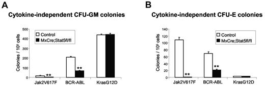 Figure 5. Stat5 is not required for transformation mediated by KrasG12D. BM from pI:pC-treated control and MxCre; Stat5fl/fl mice were infected with retroviruses expressing Jak2V617F, BCR-ABL, or KrasG12D. Transduced BM cells (1 × 105) were then plated in methylcellulose medium without any cytokine (Methocult M3234). Cytokine-independent CFU-GM colonies (A) were counted after 7 days and CFU-E colonies (B) were counted after 2 days (n = 4). Asterisks show significant differences by t test (*P < .05; **P < .005). Data are shown as mean ± SEM.
