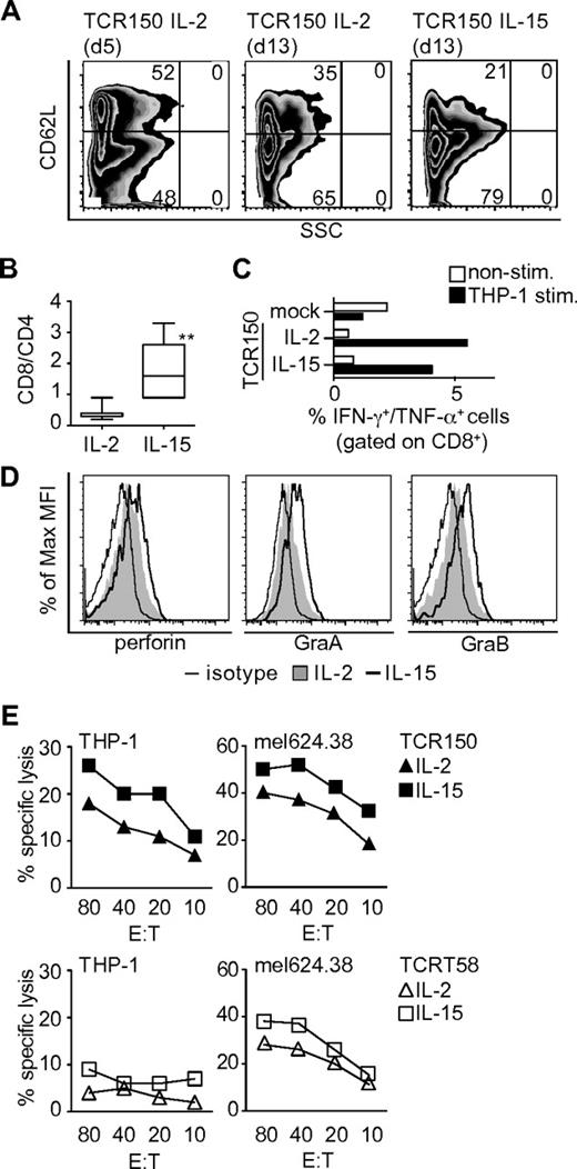 Figure 3. Influence of cytokine milieu on TCR-transgenic recipient lymphocytes in vitro. (A) Surface staining of human TCR150-transgenic PBLs using human CD62L Abs on pre-gated CD8+, CD45RA− cells that were cultured over a 5-day or a 13-day period in the presence of IL-2 alone or IL-15 combined with low-dose IL-2 (IL-15). (B) Ratio of CD8+ to CD4+ T cells at day 13 after incubation with or without IL-15 (**P = .008 by Mann-Whitney test, n = 7). (C) Percentage of intracellular IFN-γ and TNF-α double-positive cells within the CD8+ T-cell fraction by flow cytometric analyses. Open bars represent nonstimulated PBLs; filled bars represent PBLs stimulated at an effector-to-target ratio of 20:1 with THP-1 cells for 6 hours. Mock-transfected PBLs were used as a background control compared with TCR150-transgenic PBLs cultured with or without IL-15. (D) Intracellular staining of perforin, granzyme A, and granzyme B in lymphocytes cultured in IL-2–containing medium (filled graph) or IL-2/IL-15–conditioned medium (open bold graph). Shattered line represents staining with isotype control. (E) Lytic capacity of TCR150-transgenic PBLs (top panel) or TCRT58-transgenic PBLs (bottom panel) cultured under IL-2 or IL-15–conditions using THP-1 and mel624.38 as target cells. Specific lysis was measured in a standard 4-hour chromium-release assay.