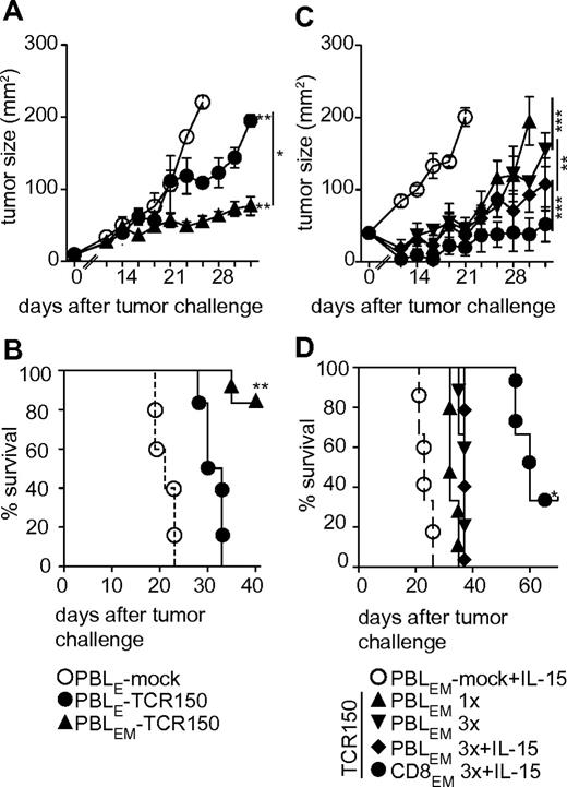 Figure 4. Potential of TCR150-transgenic lymphocytes to retard solid tumor outgrowth in vivo. (A) Tumor outgrowth (mm2) of 4 × 105 mel624.38 cells injected SC into NSG mice at day 0 followed by adoptive transfer (IV) of mock-transduced PBLs (○; n = 6), HMMR-specific TCR150-transgenic PBLEs (●; n = 6) or HMMR-specific TCR150-transgenic PBLEMs (▴; n = 6), on day 1 at a dose of 2 × 105 TCR-transgenic PBLs per mouse (**P < .01; *P < .05). A 2-way ANOVA was used for statistical analysis. (B) Percent survival of mice treated in the experiment described in Figure 3A. Data were compared using Mantel-Cox test (*P = .001). (C) Tumor outgrowth (mm2) measured every other day after initial SC injection of 4 × 105 mel624.38 cells. TCR150-transgenic PBLEMs (2 × 105) or CD8-enriched PBLEMs were injected intravenously 1 × 24 hours later (triangle arrow to top) or 3 injections were given on 3 sequential days (mock, ○; TCR150-transgenic PBLEMs, triangle arrows to bottom; TCR150-transgenic PBLEMs + IL-15, diamonds; TCR150-transgenic CD8EM + IL-15, ●). Administration of IL-15 (10 μg/mouse/d) intraperitoneally for 10 days was started 24 hours after tumor inoculation. The outgrowth was significantly retarded compared with mock treatment in the following magnitude: TCR150-transgenic TBLEMs1× < TCR150-transgenic PBLEM3× < TCR150-transgenic PBLEM3× + IL-15 < TCR150-transgenic CD8EM3× + IL-15 (**P < .01; ***P < .001 by 2-way ANOVA). (D) Survival of mice shown in panel C. Mean survival was correlated with retardation of tumor growth as follows: mock-treated PBLEMs, 23 days; TCR150-transgenic PBLEM1×, 32 days; TCR150-transgenic PBLEM3×, 37 days; TCR150-transgenic PBLEM3× + IL-15, 37 days; and TCR150-transgenic CD8EM3× + IL-15, 60 days. All treatments showed significantly prolonged survival compared with mock treatment (P < .03 by Mantel-Cox test), whereas only treatment with CD8-enriched PBLEM (3×) and IL-15 IP yielded significant prolongation compared with mice treated with TCR150-transgenic PBLEM1× (n = 6 per group; *P < .03 by Mantel-Cox test).