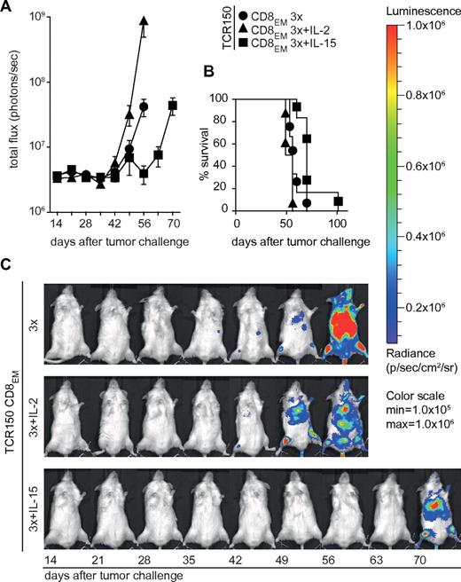 Figure 5. Usage of TCR150-transgenic effector-memory-like PBLs to target disseminated tumor cells in vivo. (A) After THP-1luc inoculation (1 × 106 cells/mouse), transfer of 4 × 105 CD8-enriched PBLEMs was performed on days 1-3 using TCR150-transgenic CD8EM cells. In addition, either IL-2 (36 μg/mouse/d) or IL-15 (10 μg/mouse/d) IP cytokine treatment was initiated on day 1 after tumor injection and given for 10 days. Shown is the measurement of the total flux (photons/s) as means (with SEM; n = 6 except for IL-2–treated groups n = 3) until the time point of the first dead mouse. (B) Survival of mice shown in panel C. Statistical calculation using the Mantel-Cox test indicated a significantly prolonged survival when mice received TCR150-transgenic CD8EM (mean CD8EM-TCRT58, 37.2 days, see supplemental Figure 4; mean CD8EM-TCR150, 62 days; *P < .03). Addition of cytokine intraperitoneally with 3 injections of TCR150-CD8EM showed a significant impact of IL-15 (70 days) compared with no cytokine (60 days; P = .01) or IL-2 administration (56 days; P = .003). (C) Representative examples of serial images of mice described in panels A and B.