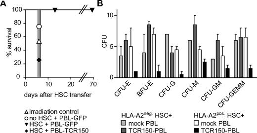 Figure 6. TCR150-transgenic PBL recognition of HLA-A2+ HSCs. (A) In vivo reconstitution of pre-irradiated HHD mice with Sca-1+–enriched HHD HSCs. Isolated stem cells were cocultured with GFP- or TCR150-transgenic lymphocytes at an effector-to-target ratio of 1:1 before transfer (1 × 106 stem cells intravenously). As controls, mice were injected with GFP-transduced splenocytes alone or no cells. Mice were monitored for signs of radiation syndrome and were removed from the study when weight loss was greater than 30%. (B) CFU assay using CD34+-enriched human HSCs from either HLA-A2+ or HLA-A2− healthy donors as target cells. 1.25 × 104 HSCs were cocultured with 1 × 105 TCR150-transgenic or mock-treated PBLs. After 2 weeks, duplicate cultures were analyzed for the development of differentiated cell colonies. CFU-E indicates CFUs erythroid; BFU-E, burst-forming-units erythroid; CFU-G, CFUs granulocyte; CFU-M, CFUs macrophage; CFU-GM, CFUs granulocyte and macrophage; and CFU-GEMM, CFUs granulocyte, erythroid, macrophage, and megakaryocyte.