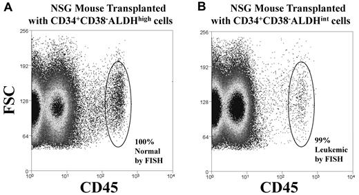 Figure 2. Mouse engraftment. CD34+CD38−ALDHhigh or CD34+CD38−ALDHint cells were isolated from the diagnostic sample of a patient (patient 4) with Inv16 AML and then transplanted into irradiated NSG mice. After 3 months, bone marrow was harvested from the transplanted mice, and engraftment was demonstrated by the presence of human CD45+ cells (circled), which were then isolated and analyzed by FISH for the Inv16 abnormality. Representative plots of CD45 versus forward scatter (FSC) are shown for mice transplanted with 1000 cells of: (A) CD34+CD38−ALDHhigh cells that generated normal (by FISH) human hematopoietic engraftment of mice or (B) CD34+CD38−ALDHint cells that produced leukemic (by FISH) engraftment of mice. Human chimerism data are shown in Table 3.
