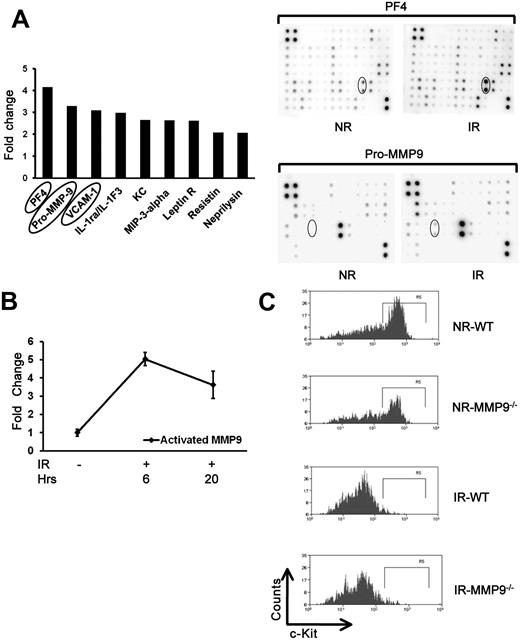 Figure 5. Increased level of inflammatory cytokines in irradiated BM cells. (A) Cytokine antibody array analysis of irradiated and nonirradiated BM cells. Cell lysates of BM cells were collected from 10 Gy IR mice (n = 3) and NR mice 17 hours after treatment. Cell lysates were sent for membrane-based mouse cytokine antibody array. The cytokines increased more than 2-fold in irradiated cells compared with nonirradiated controls. Lower panels: Representative membrane image. (B) Increased level of activated MMP9 in irradiated BM cells. Cell lysates were also used for activated MMP9 measurement using ELISA. The fold change in irradiated BM compared with nonirradiated BM lysates is shown based on 3 experiments. (C) Down-regulation of c-Kit expression. C-kit-enriched BM cells were injected into lethally IR or NR MMP9+/+ or MMP9−/− mice, respectively. Mice were killed at 17 hours after transplantation, and the expression of c-Kit in the donor cells was measured by flow cytometry. Panels represent the representative flow charts gated in the donor Lin− cells.