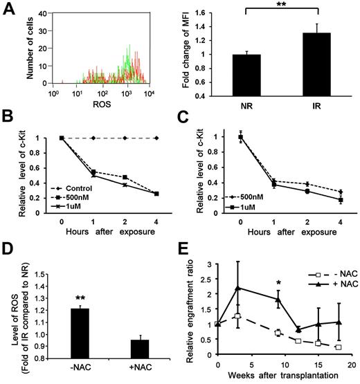 Figure 6. Increased generation of ROS in the bystander cells and the effects of NAC. (A) An elevated level of ROS in bystander cells. Lin−Sca-1+ BM cells transplanted into IR or NR mice were collected 17 hours later and subjected to ROS measurement. Top panel: Representative flow chart. Bottom panel: Fold change of mean fluorescence intensity (MFI).**P < .01. n = 3. (B-C) Down-regulation of c-Kit expression at the protein and transcript levels by exposure to hydrogen peroxide. (B) c-Kit–enriched BM cells were exposed to different doses of hydrogen peroxide. Cells collected at different time points after exposure were subjected to c-Kit analysis by flow cytometry or RT-PCR. The relative expression of c-Kit at the protein level (B) and the transcript level (C) compared with nonexposed controls was plotted. (D) An elevated level of ROS reversed by administration of NAC in vitro. Lin−c-kit+ cells plated onto an IR (12 Gy) or NR stromal cell line (AFT024) layer treated with or without NAC were collected 40 hours later. The intracellular level of ROS was compared among groups. **P < .01. n = 3. (E) Improved reconstitution of bystander hematopoietic cells by administration of NAC in vivo. Homed Lin−c-kit+ cells in NR or IR recipients treated with or without NAC were sorted 17 hours after transplantation and retransplanted into lethally irradiated congenic recipients (3000 cells/mouse). Engraftment ratios of donor cells from IR recipients to that from NR recipients were calculated; n = 3. *P < .05. n = 4.