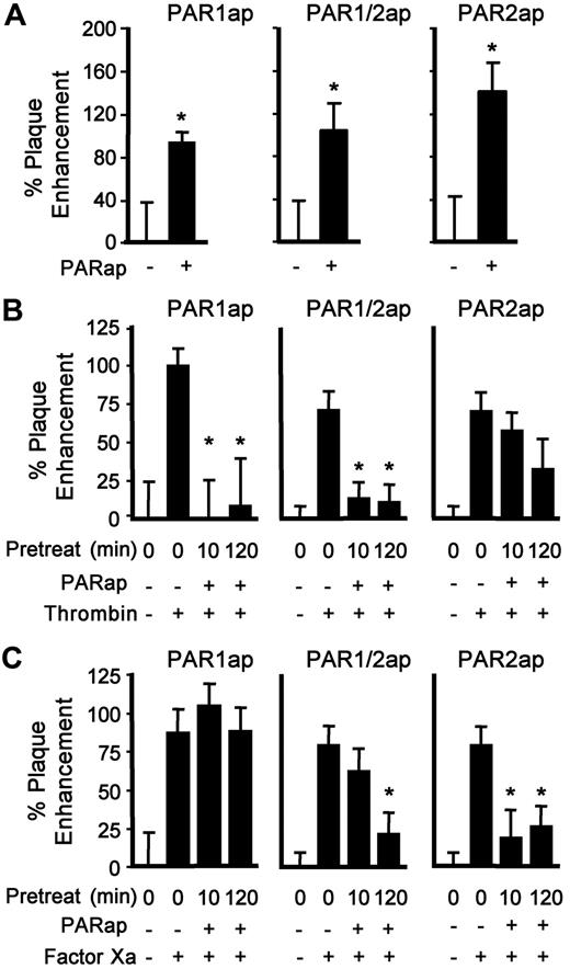 Figure 4. PAR1ap or PAR2ap enhance infection and receptor desensitization affects coagulation protease-mediated infection. (A) HUVECs were inoculated with HSV1 (TF+/gC+, 4.5 × 105 vp/mL) in the presence of PAR1ap (10μM), PAR1/2ap (10μM), or PAR2ap (200μM) in SFM. The data were corrected for the amount of infection in the absence of added peptide (n = 4; data are ± SEM). *P ≤ .05 compared with no PARap. As in panel A except afterward, thrombin (10nM; B) or FXa (1nM; C) was added for 90 minutes. The data were corrected for the amount of infection without added protease or PARap (n = 6; data are ± SEM). *P ≤ .05 compared with the addition of protease.
