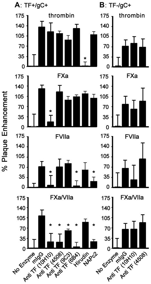 Figure 6. Viral TF is involved in FXa- and FVIIa-mediated HSV1 infection. HUVECs were incubated with a constant amount of TF+/gC+ (A) or TF−/gC+ (B) HSV1 (4.5 × 105 vp/mL) and thrombin (10nM), FXa (1nM), FVIIa (2.5nM), or FXa/FVIIa (1nM/0.5nM) with murine IgG (No Enzyme, 55nM), mIgG plus enzyme (mIgG), or enzyme plus the indicated anti-TF (55nM), NAPc2 (50nM) or hirudin (10 U/mL). The data were corrected for the amount of infection detected without added protease (n = 4; data are ± SEM). *P ≤ .05 compared with control IgG plus enzyme.
