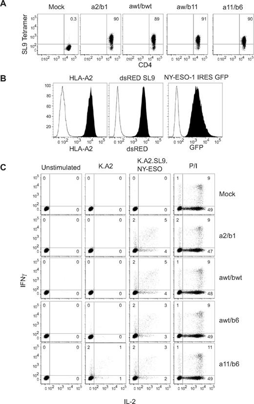 Figure 1. A2-SL9–specific TCRs are able to redirect human CD4 Teff responses. (A) RNA encoding each of the A2-SL9–specific TCRs was transfected into resting primary human CD4 T cells and, after overnight culture, the ability to bind SL9 tetramer was measured by flow cytometry. (B) K562 cells were transduced with lentiviral vectors expressing HLA-A2, dsRED-SL9 minigene encoding, and full-length NYESO-1 linked to green fluorescent protein (GFP) via an internal ribosome entry site (IRES). (C) Cells described in panel A were mixed at a 1:1 ratio with aAPCs described in panel B. IFNγ and IL-2 production were measured by intracellular cytokine staining after 5 hours. As a positive control, T cells were also stimulated with 3 μg/mL of phorbol 12-myristate 13-acetate and 1 μg/mL of ionomycin (P/I). Data presented is representative of at least 3 independent experiments.