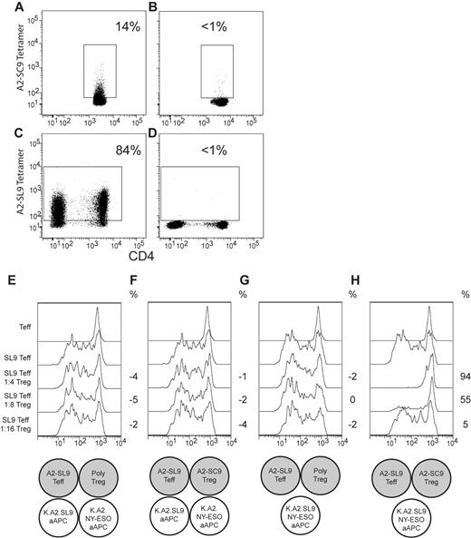 Figure 6. Target Ags must be expressed on the same cell to observe bystander immunosuppression. (A) RNA encoding the A2-SC9 TCRs was transfected into Tregs, and the ability of these cells to bind A2-SC9 tetramer was measured the following day by flow cytometry. (B) Same as panel A except TCR encoding RNA was not added before the transfection (mock control). (C) RNA encoding the A2-SL9 TCRs was transfected into a mixture of CD4 and CD8 Teffs, and the ability of these cells to bind A2-SL9 tetramer was measured the following day by flow cytometry. (D) Same as panel C except TCR encoding RNA was not added before the transfection (mock control). (E) A2-SL9 Teffs were mixed with the indicated ratios of mock-transfected, polyclonal Tregs. These T-cell mixtures were then incubated with an equal number of K.A2.SL9 and K.A2.NY-ESO aAPCs. The final ratio of T cells to aAPCs was 1. (F) A2-SL9 Teffs were mixed with the indicated ratios of A2-SC9–transfected Tregs. These T-cell mixtures were then incubated with an equal number of K.A2.SL9 and K.A2.NY-ESO aAPCs. The final ratio of T cells to aAPCs was 1. (G) A2-SL9 Teffs were mixed with the indicated ratios of mock-transfected, polyclonal Tregs. These T-cell mixtures were then incubated with an equal number of K.A2.SL9.NY-ESO aAPCs. The final ratio of T cells to aAPCs was 1. (H) A2-SL9 effectors were mixed with the indicated ratios of A2-SC9–transfected Tregs. These T-cell mixtures were then incubated with an equal number of K.A2.SL9.NY-ESO aAPCs. The final ratio of T cells to aAPCs was 1. A cartoon denoting the cell mixtures is displayed below each data panel. The percent suppression was calculated as described in “In vitro suppression assay.” A negative value indicates that more cell divisions were measured in these conditions relative to the control without Tregs.