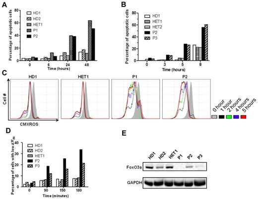 Figure 4. Functional studies of T lymphocytes and neutrophils. (A) Time course of induced apoptosis in STK4-deficient T cells on exposure to anti-Fas, which was measured by staining with annexin-V and propidium iodide. STK4-deficient T cells exhibited a significantly higher degree of apoptosis than did cells from control or heterozygous persons. (B) Time course of induced apoptosis in STK4 neutrophils on exposure to staurosporine. Patients' neutrophils showed increased apoptosis compared with healthy persons. (C) Visualization of gradual loss of mitochondrial membrane potential evidenced by fading CMXROS fluorescence intensity in T cells. Note that patients P1 and P2 have accelerated loss of Δψm compared with healthy control cells. (D) Enhanced loss of mitochondrial membrane potential Δψm in STK4-deficient neutrophil granulocytes, which is measured by fading JC-1 dye fluorescence intensity. (E) Decreased FOXO3 expression in PBMCs of STK4-deficient patients revealed by Western blot. Both the apoptosis and mitochondrial membrane potential assays were done twice, on independently purified cells.