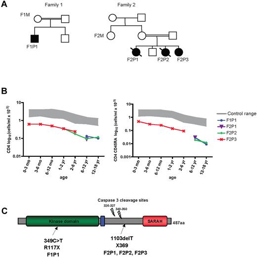 Figure 1. MST1 mutations in 2 families. (A) Pedigrees of 2 families presenting a CID syndrome. Consanguinity is indicated by double horizontal bars. Black boxes and circles represent affected males and females, respectively. Diagonal bar indicates deceased subjects. An identification number was assigned to each patient. (B) Semilogarithmic graph representing the progressive CD4 T-cell lymphopenia (left) and the marked loss over time of naive CD4 CD45RA+ T cells (right) observed in MST1-deficient patients. (C) Schematic representation of the MST1 protein. Mutations identified in the families are indicated by arrows.