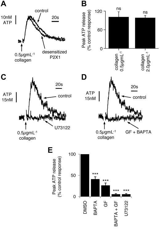 Figure 4. Collagen-evoked ATP release requires PLC activation but not P2X1 receptors and involves costimulation of Ca2+ mobilization and PKC. Sample (A,C,D) and average (B,E) ATP secretion responses to collagen (0.5 μg mL−1), monitored by luciferin:luciferase. (A-B) Effect of desensitization of P2X1 receptors using 0.6μM α,βmeATP before addition of external Ca2+. (C-E) Effect of the PLC inhibitor U73122 (10μM; 10 minutes), cytosolic loading of the Ca2+ chelator BAPTA (15μM BAPTA-AM), the PKC inhibitor GF109203X (20μM; 10 minutes; GF), or combined BAPTA loading and GF109203X.