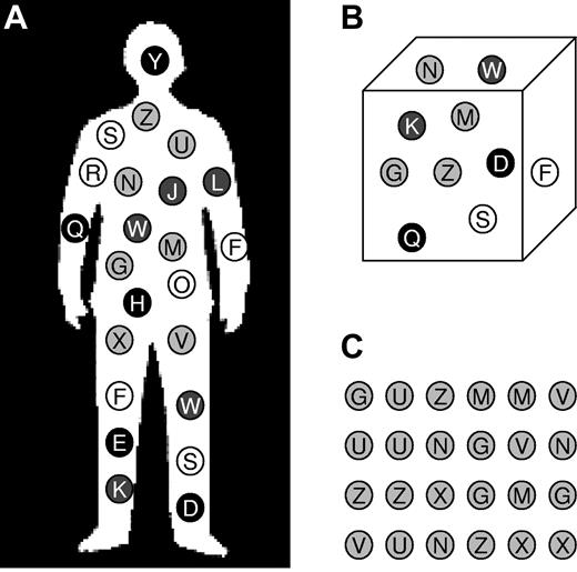Figure 1. Frames of reference for TCR diversity measurements. (A-C) In this schematic, circles represent T cells, their shading represents their phenotype (eg, naive CD4+ T cells), and their letter represents their TCR clonotype. (A) Total body TCR diversity (ie, unique TCR sequences in the entire body). (B) TCR diversity per fixed volume of blood or tissue (eg, unique TCR sequences per 1.5 mL of whole blood). (C) TCR diversity per fixed number of cells, often of a defined subpopulation (eg, number of unique TCR sequences found in a sample of 1.2 million naive CD4+ cells).