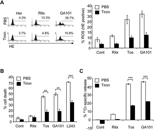 Figure 2. ROS are required for mAb-induced cell death. (A) Before the addition of mAbs, cells were treated with PBS or the ROS scavenger, 4,5-dihydroxyl-1,3-benzededisulfonic acid (tiron; 10mM) for 2 hours. ROS production was then determined 4 hours later using HE staining, and analyzed by flow cytometry. Representative data from at least 3 independent experiments are shown. Bars represent mean ROS production ± SEM. (B) Cells were treated with tiron as before and the amount of mAb-induced cell death quantified 4 hours later using PI staining analyzed by flow cytometry. Bars represent mean cell death ± SEM from at least 3 separate experiments. (C) Cells were prelabeled with 51Cr for 1 hour at 37°C before treatment with tiron (10mM) for 2 hours. Cells were the treated with mAbs as before and 51Cr-release determined after 4 hours as described in “Cell death assays.” Bars represent mean + SEM from quintuplicate samples representative of 3 independent experiments.