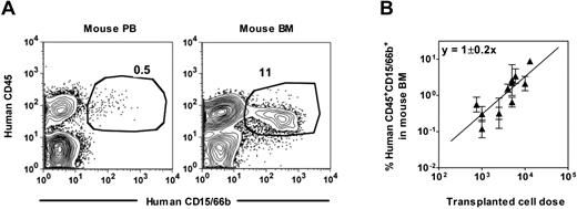 Figure 2. Detection of human neutrophils in NSG mouse blood. (A) Representative FACS plots showing the distinction of human CD45+CD15/66b+ neutrophils in the blood (left panel) and BM (right panel) of a NSG mouse transplanted with human Lin−ALDH+ CB cells. (B) Linear relationship between the dose of Lin−ALDH+ CB cells transplanted and the level of human neutrophils detected 3 weeks later in the BM. Shown are the mean ± SEM of data pooled from 7 experiments (2-5 mice per cell dose per experiment).