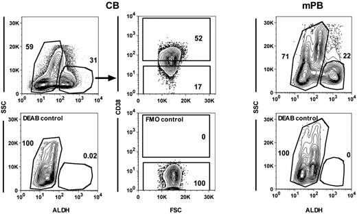 Figure 3. Isolation of different subsets of human CB and mPB cells. Representative FACS plots showing gates used to isolate ALDH+ and ALDH− CB (top left panel) and mPB cells (top right panel) and the CD38+ and CD38− subsets within the ALDH+ CB cells (top middle panels). Bottom panels show the controls for each of these staining.