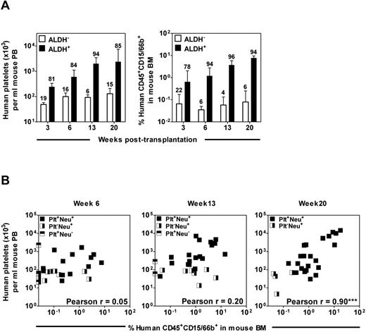 Figure 6. Long-term (20 weeks) but not intermediate (6-13 weeks) human platelet- and neutrophil-producing activities in different samples of CB correlate with one another. (A) NSG mice were each transplanted with 5000-10 000 Lin−ALDH+ CB cells or the cells from the matching fraction of Lin−ALDH− cells and the number of circulating human platelets (left panel) or human neutrophils in the BM (right panel) was determined up to 20 weeks later. The number above each bar indicates the proportion of total platelet- or neutrophil-producing cell activity in that cell fraction. Values shown are the mean ± SEM of data from 3 experiments. (B) Lin−ALDH+ cells from 7 different CB preparations were transplanted into NSG mice and the outputs of human platelets (in PB) and neutrophils (in BM aspirates) in each mouse were determined at various time points later. Pearson correlation analyses showed that these values were significantly correlated only for the week 20 posttransplantation end point.