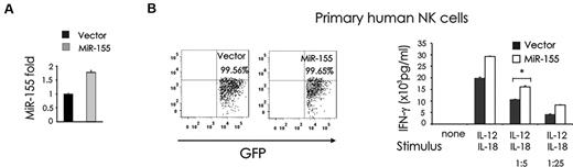 Figure 3. miR-155 overexpression enhances IL-12 plus IL-18–induced IFN-γ production in NK cells. (A) NK-92 cells were infected using an empty lentivirus vector (Lenti) containing GFP or a lentivirus vector containing GFP and miR-155 sense (Lenti-miR-155 vector). Cells were then sorted for high GFP expression and analyzed for miR-155 expression by RT-PCR. (B) Primary human CD56+ NK cells were infected using either Lenti or Lenti-miR-155, sorted by FACS for GFP (left), plated in medium and costimulated with IL-12 (10 ng/mL) plus IL-18 (100 ng/mL) or 1/5th or 1/25th the doses of these monokines for 24 hours. Supernatants were then collected and assayed for IFN-γ by ELISA (right). These data are representative of 3 experiments performed with moderate doses, and 2 experiments performed with high and low concentrations of monokines.