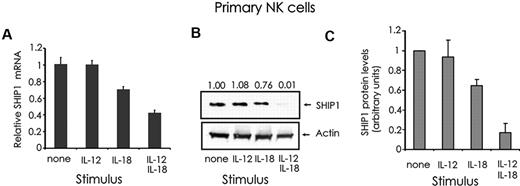 Figure 5. Quantification of SHIP1 expression in monokine-stimulated primary human CD56+ NK cells. (A) CD56+ primary human NK cells were first incubated for 18 hours with medium containing either IL-12 (10 ng/mL) and/or IL-18 (100 ng/mL), and then quantified for SHIP1 (A) mRNA by real-time RT-PCR and (B) protein by Western blot. The relative levels of SHIP1 protein, as determined by densitometry, are indicated above the blot and expressed as densitometric units relative to the control lane (“none”), which is arbitrarily set at 1.00. (C) The graph summarizes the data of densitometric analysis of 3 primary donors. This experiment is representative of at least 3 such experiments performed with similar results.