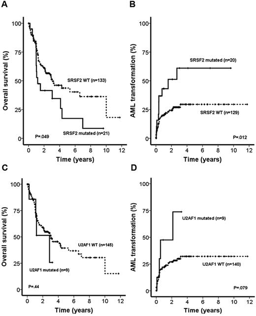 Figure 2. OS and time to AML progression in MDS patients. OS (A) and time to AML progression (B) in MDS patients according to SRSF2 mutation status (log-rank test) are shown. OS (C) and time to AML progression (D) in MDS patients according to U2AF1 mutation status (log-rank test) are shown.