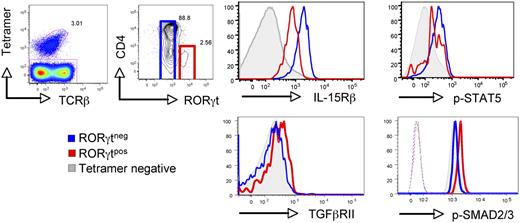 Figure 1. RORγt+ iNKT cells respond weakly to IL-15 but are highly sensitive to TGFβ. Flow cytometry analysis to compare IL-15Rβ (CD122) and TGFβRII surface expression, and intracellular phospho-STAT5 (p-STAT5) and phospho-SMAD2/3 (p-SMAD2/3) levels in RORγt+ iNKT, RORγt− iNKT, and non-iNKT cells in the thymus of 6- to 8-week-old C57BL/6 WT mice. Dashed lines represent staining of the secondary antibody without the primary antibody. For p-STAT5 staining, cells were incubated with IL-15. Invariant NKT cells were identified by excluding B220+ and CD8+ cells and gating on CD1d tetramer+ TCRβ+ cells. Data are representative of at least 3 experiments with 1 to 2 individual mice per experiment.