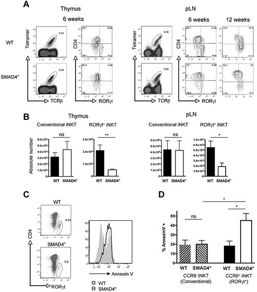 Figure 3. SMAD4-dependent signaling pathway controls survival of RORγt+ iNKT thymocytes. (A) Flow cytometry analysis of the presence of iNKT cell subsets in the thymus and pLNs of CD4-Cre; Smad4flox/flox (SMAD4°) mice and WT littermate controls. Invariant NKT cells were identified by excluding B220+ and CD8+ cells and gating on CD1d tetramer+ TCRβ+ cells. (B) Mean absolute numbers ± SEM of RORγt+ and conventional RORγt− iNKT cells from the thymus and peripheral lymph nodes (pLNs) of 6- to 8-week-old mice. Representative plots and combined data from at least 6 experiments totaling 8 to 10 mice in each group. P values were calculated using unpaired Student t test (*P < .05; **P < .01; NS indicates not significant). (C) RORγt+ iNKT cells costained for annexin V and RORγt in the thymus after 36 hours incubation. (D) Annexin V staining on CD4− CCR6+ iNKT thymocytes (RORγt+ iNKT) and CD4−CCR6− iNKT thymocytes (conventional iNKT). Annexin V data includes 4 experiments totaling 8 mice in each group. The 1-way ANOVA was used to determine overall significance between groups and P values were calculated using Bonferroni multiple comparison test. (*P < .05; NS indicates not significant).