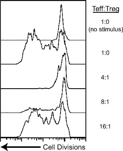 Retargeted class I MHC-restricted Tregs suppress antigen-specific T-cell proliferation. Tregs were transduced with an HLA-A2–restricted TCR specific for NY-ESO-1 and effector T cells (Teffs) with an A2-restricted TCR specific for HIV-1gag. The Teff cells were labeled with CFSE, a dye that intercalates into the cell membrane and is diluted with cell division. The top 2 tracings demonstrate the induction of cell division when Teffs are stimulated with antigen. The bottom tracings demonstrate that in the presence of the NY-ESO-1–specific Tregs, Teff proliferation is inhibited. The Tregs must be stimulated with specific antigen to be able to suppress the Teffs.