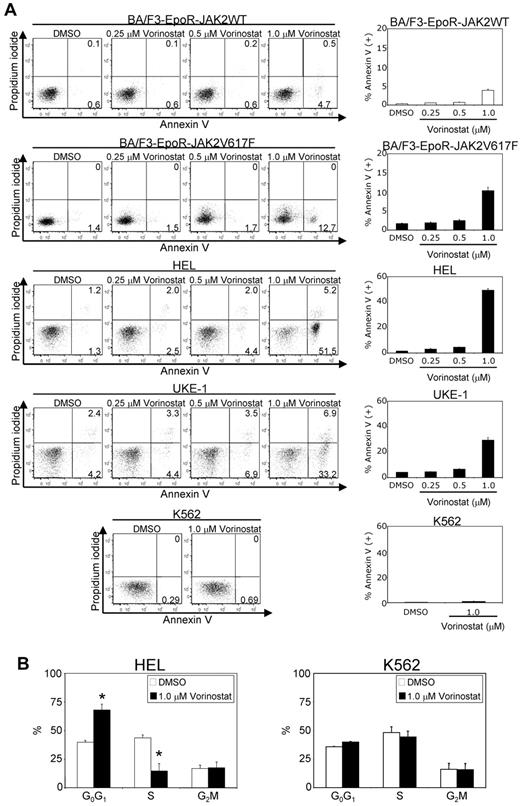 Figure 2. Vorinostat induces apoptosis in cells expressing JAK2V617F. BA/F3-EpoR cells expressing JAK2WT, JAK2V617F, and human HEL, UKE-1, and K562 cells were treated with DMSO or various concentrations of vorinostat (0.25-1.0μM) for 24 hours. (A) Apoptosis was determined by staining with propidium iodide and annexin V, followed by flow cytometric analysis. Results shown are representative of 3 independent experiments. Note that vorinostat treatment significantly increased apoptosis in JAK2V617F+ cells. (B) Cell-cycle distribution of HEL and K562 cells after 24 hours of exposure to vorinostat (1.0μM). Cell-cycle analysis was performed by propidium iodide staining and analyzed by ModFit software. Results from 3 independent experiments are shown as means ± SEM. Asterisks indicate significant differences (P < .05) between vehicle and vorinostat-treated cells. Note that vorinostat-treated HEL cells were arrested at the G0/G1 phase and there was a significant decrease in the percentage of cells in the S phase.
