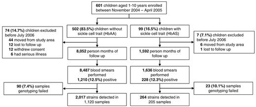 Figure 1. Distribution of study participants from enrollment to the end of follow-up.