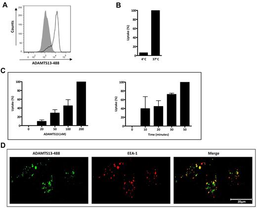 Figure 1. ADAMTS13 uptake by iDCs. (A) ADAMTS13-488 (50nM) was incubated with iDCs for 45 minutes at 37°C and cells were analyzed by FACS. The gray histogram represents control cells without ADAMTS13-488. (B) Cell-surface–bound versus internalized ADAMTS13 was determined by incubating iDCs with ADAMTS13-488 at 4°C or 37°C for 45 minutes. (C) Uptake was performed with increasing concentrations (0-200nM) of ADAMTS13-488 (45 minutes) or at prolonged time intervals (0-50 minutes with 50nM ADAMTS13-488). Graphs represent data from 2-3 independent experiments ± SD. Data are expressed as the percentage of mean fluorescence intensity at 37°C, where 100% corresponds to the highest mean fluorescence signal observed for individual experiments such as 50nM (B) or 200nM ADAMTS13-488 and 50 minutes of ADAMTS13-488 uptake (C). (D) ADAMTS13-488 was added to iDCs for 45 minutes at 37°C. DCs were fixed, permeabilized, and stained with anti-EEA1 Ab, followed by Alexa Fluor 568–labeled secondary Ab (EEA1 staining is shown in red).