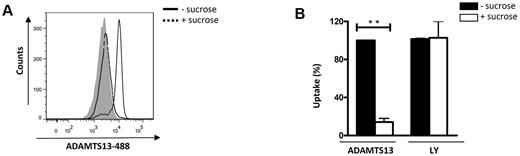 Figure 2. Uptake of ADAMTS13 by iDCs is mediated by a clathrin-dependent cell surface receptor. Immature DCs were pre-incubated with 0.75M sucrose before the addition of 50nM ADAMTS13-488. (A) Cells were analyzed by FACS. Gray histogram represents control cells without ADAMTS13-488. (B) Data from 3 independent experiments ± SD are presented and are expressed as a percentage of mean fluorescence intensity, where 100% corresponds to the mean fluorescence signal obtained for ADAMTS13-488 in the absence of sucrose. Lucifer yellow (LY), which is internalized by macropinocytosis, was used as a control.