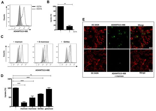 Figure 3. CLRs mediate ADAMTS13 uptake by iDCs. FACS analysis of ADAMTS13-488 uptake by iDCs is shown. (A-B) Uptake of ADAMTS13 (expressed as a percentage) was prevented by preincubation of the cells with 5mM EGTA. (C) Inhibition of ADAMTS13-488 endocytosis by different monosaccharides. The gray histograms represent controls incubated in the absence of ADAMTS13. Cells incubated with ADAMTS13 are indicated by a solid line; cells incubated with ADAMTS13 and different sugar components are indicated by a dotted line. (D) Blocking of ADAMTS13 uptake by different sugars is expressed as a percentage. (E) Confocal analysis of the effect of mannan on ADAMTS13 endocytosis. iDCs were incubated with or without mannan before the addition of ADAMTS13-488 and stained with anti–DC-SIGN Ab (red).