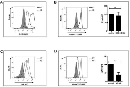 Figure 5. Gene silencing of MR reduces uptake of ADAMTS13 by iDCs. Silencing of MR in iDCs reduces uptake of ADAMTS13. iDCs were transfected with nontargeting siRNA or targeting MR and DC-SIGN siRNAs. After 72 hours, the expression of MR and DC-SIGN was measured by FACS (A,C). After siRNA transfection, cells were incubated with 50nM ADAMTS13-488 and its uptake was monitored by FACS (B,D). Dotted line histograms represent cells transfected with siRNAs targeting MR and DC-SIGN (KD). Solid line histograms represent cells transfected with nontargeting siRNAs (NT). Gray histograms represent cells stained with isotype control Abs. Graphs represent data from 3 independent experiments and are expressed as means ± SD. Results are expressed as a percentage of the mean fluorescence intensity, where 100% corresponds to the highest mean fluorescence intensity obtained with ADAMTS13-488.