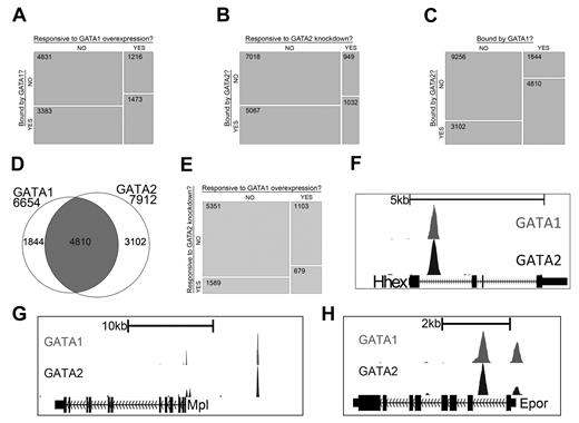 Figure 2. GATA-1 and GATA-2 directly regulate many of the same genes during megakaryocytic development. (A) Mosaic plots showing that GATA-1–bound genes are significantly enriched for genes that are differentially expressed after restoration of GATA-1 in G1ME cells. (B) GATA-2–bound genes are significantly enriched for genes that are differentially expressed after shRNA-mediated down-regulation of GATA-2 in G1ME cells. (C) GATA-2–bound genes are significantly enriched for genes bound by GATA-1. The mosaic plots show the relative numbers of genes in each category as the area of the corresponding rectangle. If the whitespace between rows in each column are perfectly aligned, the response of the genes to the condition on the y-axis is independent of their categorization according to the condition on the x-axis. Deviations from perfect alignment represent enrichment or depletion as a condition of the y-axis category. The total number of genes in each category is shown inside the boxes. (D) Venn diagram showing the intersection of gene lists bound by GATA-1 and GATA-2. A total of 72% of GATA-1–occupied genes and 61% of GATA-2–occupied genes are bound by both factors. (E) Genes differentially expressed after shRNA-mediated down-regulation of GATA-2 are significantly enriched for genes differentially expressed after restoration of GATA-1 in G1ME cells. (F-H) GATA1 (top) and GATA2 (bottom) binding profiles at the Hhex, Mpl, and Epor loci. Peaks represent sequencing tag counts aligning to that genomic position.